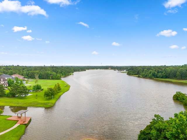 310 Scenic Lake Ct, Montgomery, TX 77316 - photo 41