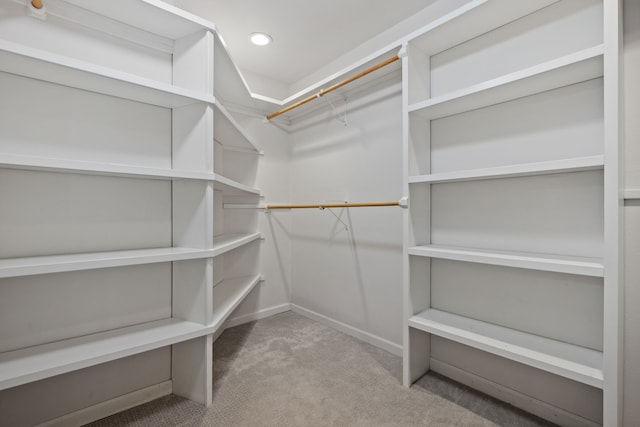 1016 Barkdull St, Houston, TX 77006 - spacious closet with carpet