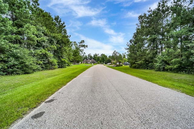 5510 Pine Wood Meadows Ln, Spring, TX 77386