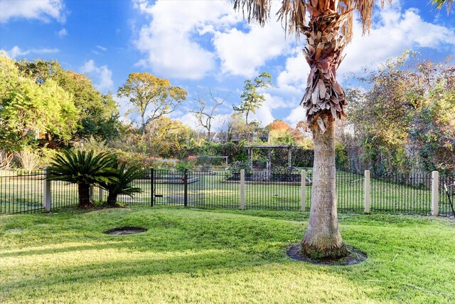 9400 Doliver Dr Unit 30, Houston, TX 77063 - view of yard