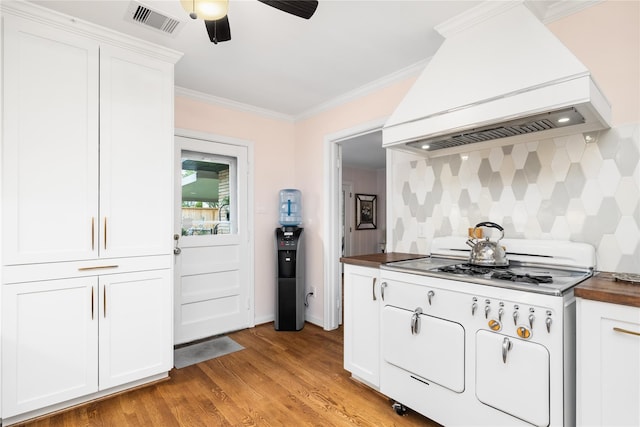 6625 Fairfield St, Houston, TX 77023 - kitchen featuring custom range hood, ceiling fan, light wood-type flooring, white cabinetry, and crown molding