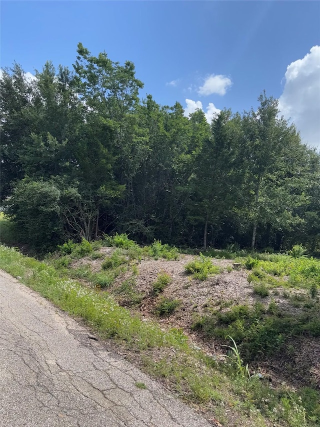 000 Randolph St, Houston, TX 77075