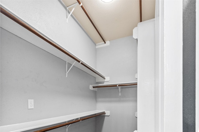 16439 Willingham Way, Houston, TX 77095 - view of walk in closet