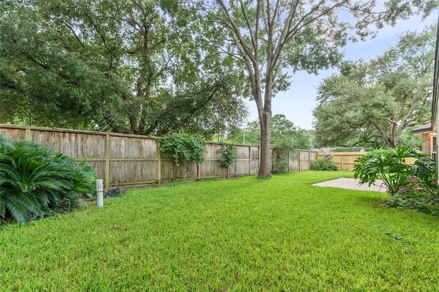 16439 Willingham Way, Houston, TX 77095 - fenced backyard featuring a patio