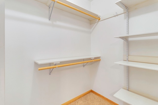 123 Sea Gull Dr, Livingston, TX 77351 - view of spacious closet
