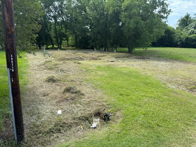 7438 Maxroy St, Houston, TX 77088