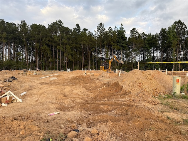 25017 Pomegranate Pl, Montgomery, TX 77316 - view of yard