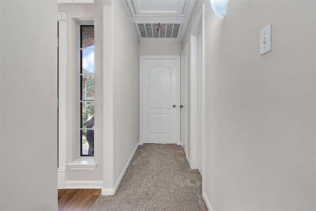 6318 Crystal Forest Trl, Katy, TX 77493 - hall with attic access and carpet floors