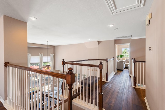 11117 Comiso Pala Path, Austin, TX 78726 - photo 29