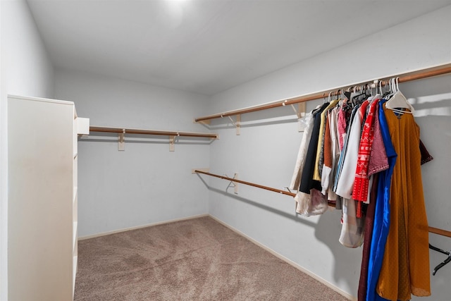 21519 San Marino Dr, Katy, TX 77450 - spacious closet with carpet floors