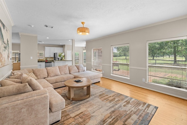 21519 San Marino Dr, Katy, TX 77450 - living area with light wood-type flooring, a textured ceiling, and crown molding