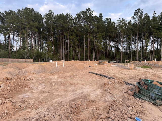 25011 Pomegranate Pl, Montgomery, TX 77316 - view of undeveloped land