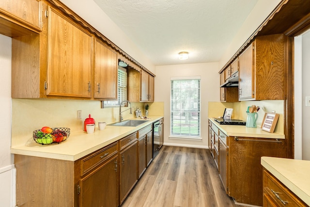 2910 Castle Ct, Pearland, TX 77581 - kitchen featuring light countertops, light wood-style floors, stainless steel dishwasher, under cabinet range hood, and brown cabinetry