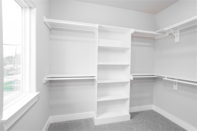 4401 Alvin St, Houston, TX 77051 - photo 8