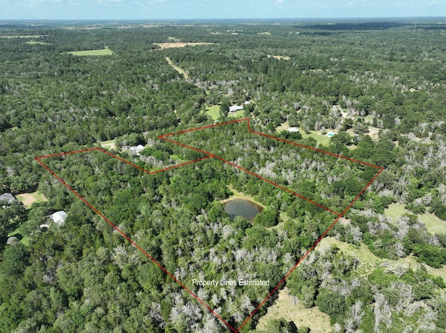 0000 Abel Rd, New Ulm, TX 78950 - photo 9