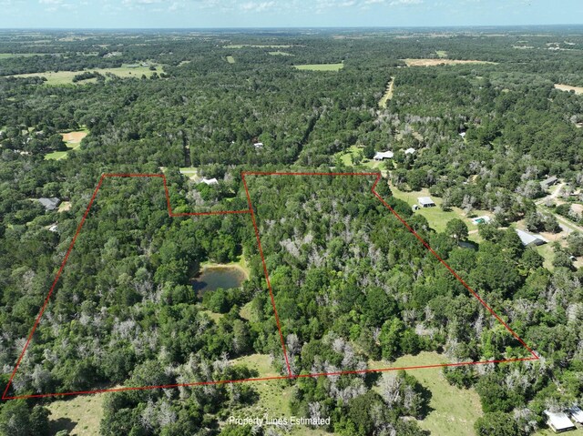 0000 Abel Rd, New Ulm, TX 78950 - photo 14