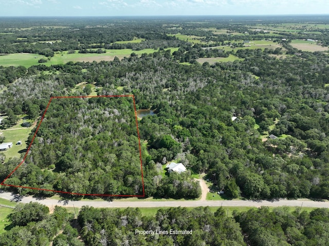 0000 Abel Rd, New Ulm, TX 78950 - photo 2