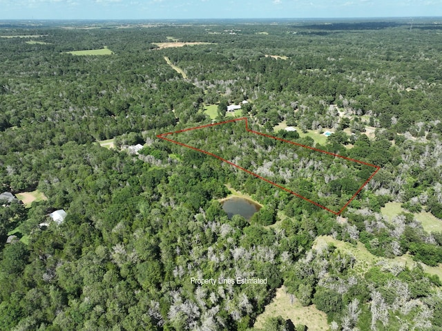 0000 Abel Rd, New Ulm, TX 78950 - photo 4