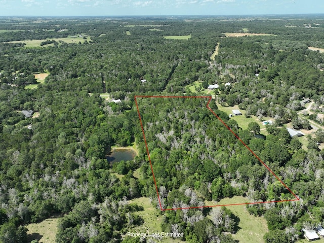 0000 Abel Rd, New Ulm, TX 78950 - photo 5