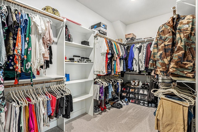 1818 Homewood Point Ln, Rosharon, TX 77583 - spacious closet with carpet