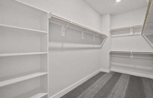 7827 Albury Mnr, Richmond, TX 77407 - walk in closet featuring dark carpet
