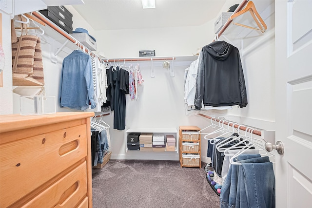 25603 Kearsley Dr, Katy, TX 77494 - spacious closet with carpet flooring