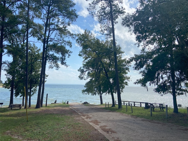 521 Northwood Dr, Point Blank, TX 77364 - water view