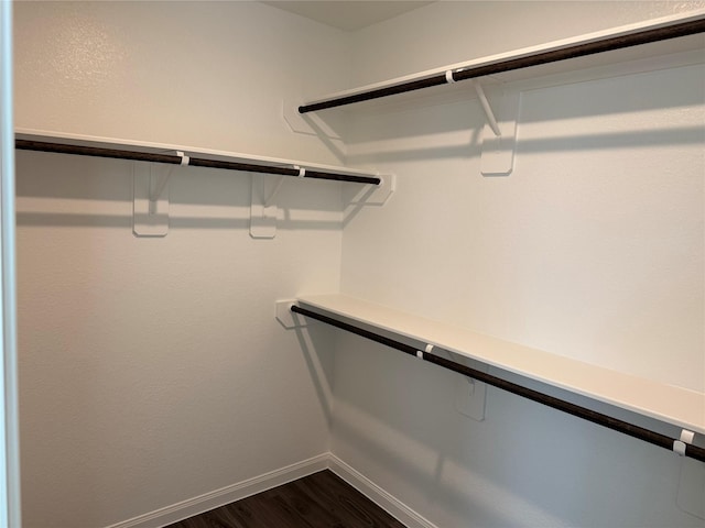 13305 Burbot Dr, Conroe, TX 77384 - walk in closet with dark wood-style floors