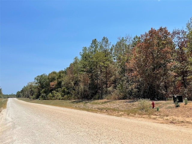 11646 Grand N Rd, Willis, TX 77378 - photo 7