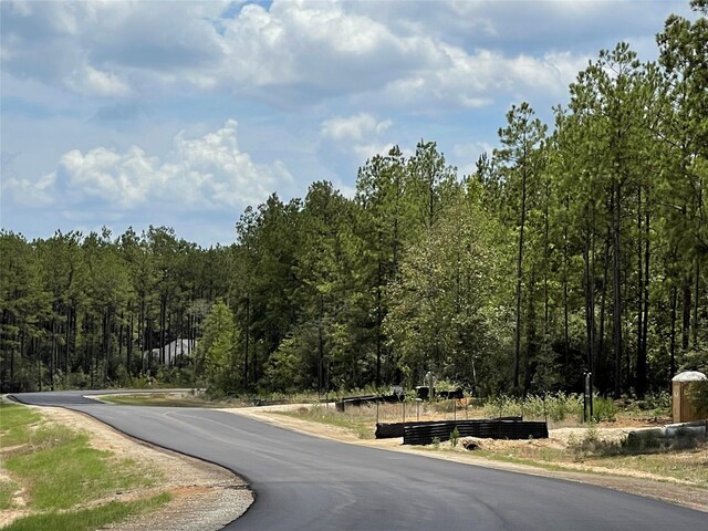 11646 Grand N Rd, Willis, TX 77378 - photo 17