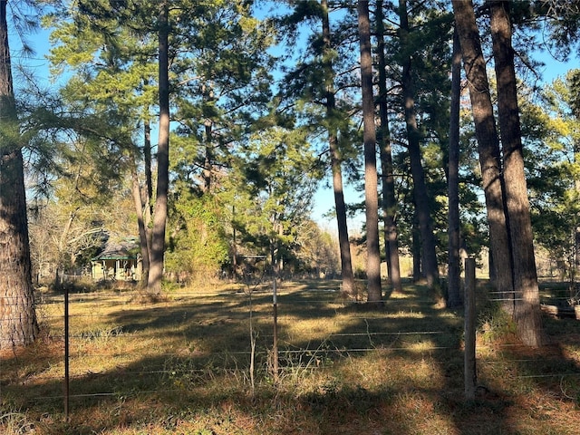 473 Marion Ln, New Waverly, TX 77358