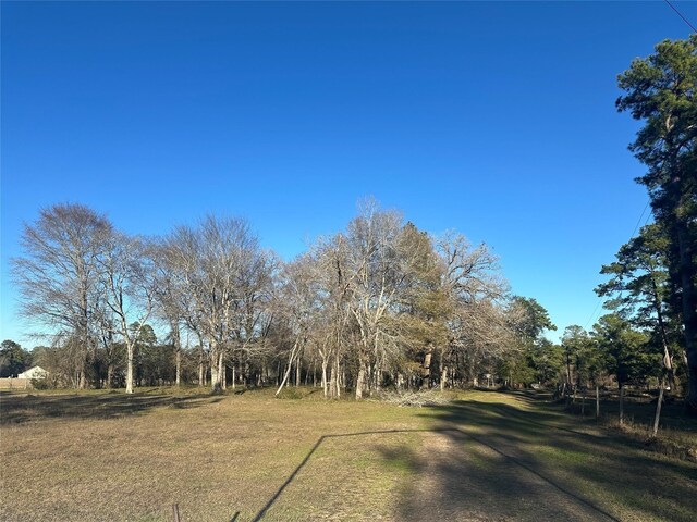 473 Marion Ln, New Waverly, TX 77358