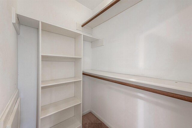 2510 Wind Fall Ln, Sugar Land, TX 77479 - spacious closet with carpet floors