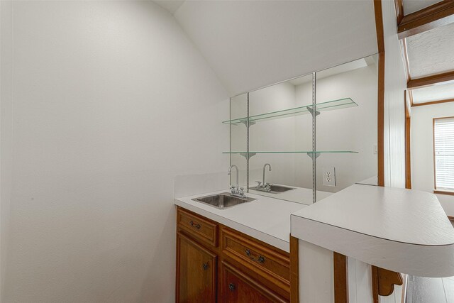2510 Wind Fall Ln, Sugar Land, TX 77479 - indoor wet bar featuring vaulted ceiling