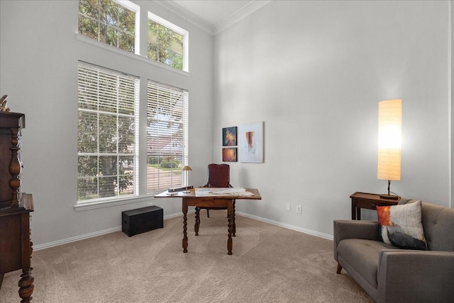 1427 Roaring Springs Ln, Seabrook, TX 77586 - carpeted office with ornamental molding, a high ceiling, and plenty of natural light