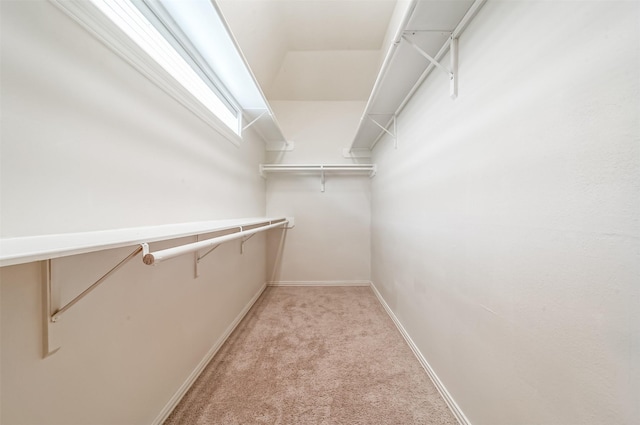 1427 Roaring Springs Ln, Seabrook, TX 77586 - walk in closet with light colored carpet