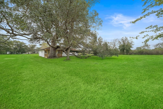 10219 Weldon Rd, Freeport, TX 77541 - view of green lawn