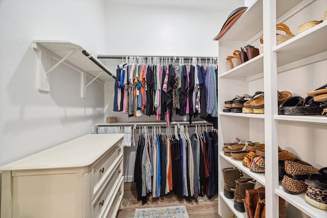 1523 Carson Field Ln, Richmond, TX 77469 - walk in closet with wood finished floors