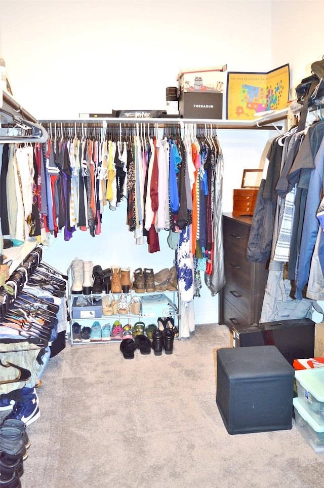 9323 Stablewood Lakes Ln, Tomball, TX 77375 - spacious closet with carpet flooring