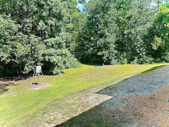 674 County Road 3240, Colmesneil, TX 75938 - photo 17