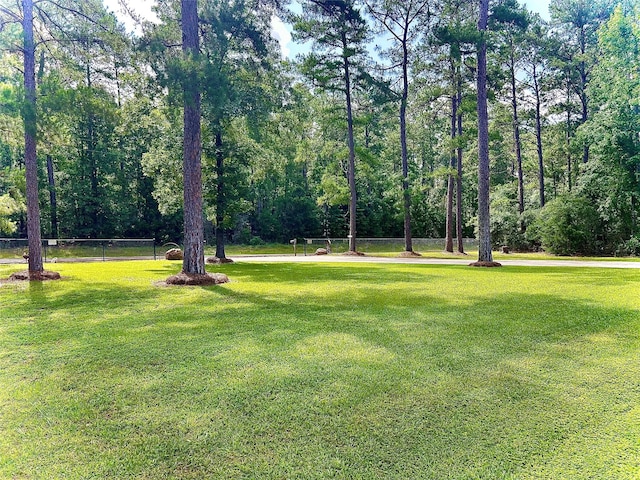 674 County Road 3240, Colmesneil, TX 75938 - photo 6