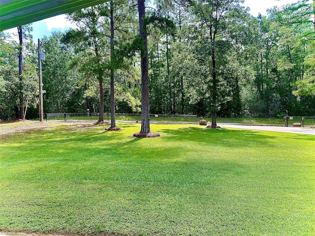 674 County Road 3240, Colmesneil, TX 75938 - photo 7