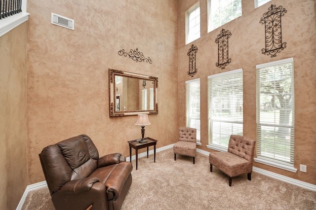 30103 Canyon Branch Ct, Spring, TX 77386 - sitting room featuring carpet floors and a high ceiling