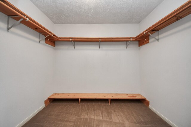 3515 Kansas St, Fresno, TX 77545 - view of walk in closet