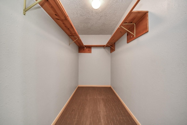 3515 Kansas St, Fresno, TX 77545 - view of walk in closet