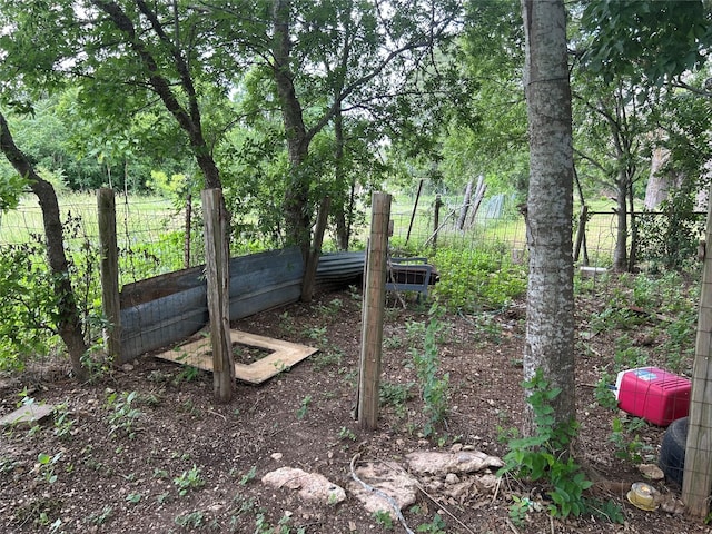 107 Russell St, Liberty Hill, TX 78642 - view of yard