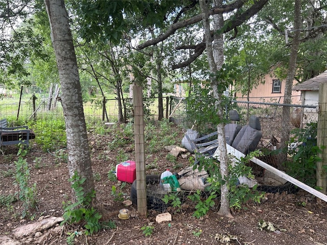 107 Russell St, Liberty Hill, TX 78642 - view of yard