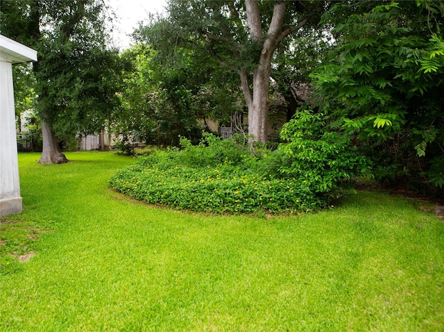 6718 E Bayou Dr, Hitchcock, TX 77563 - view of green lawn