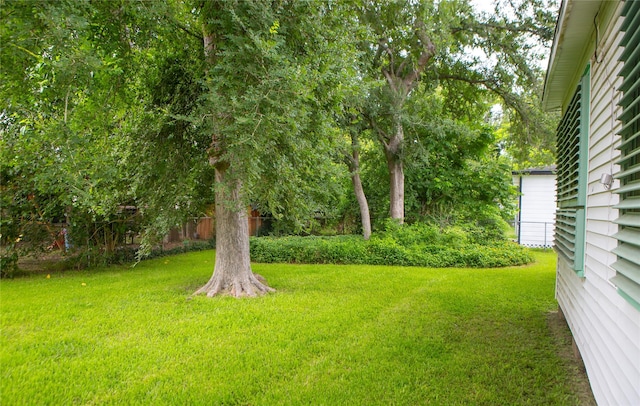 6718 E Bayou Dr, Hitchcock, TX 77563 - view of green lawn