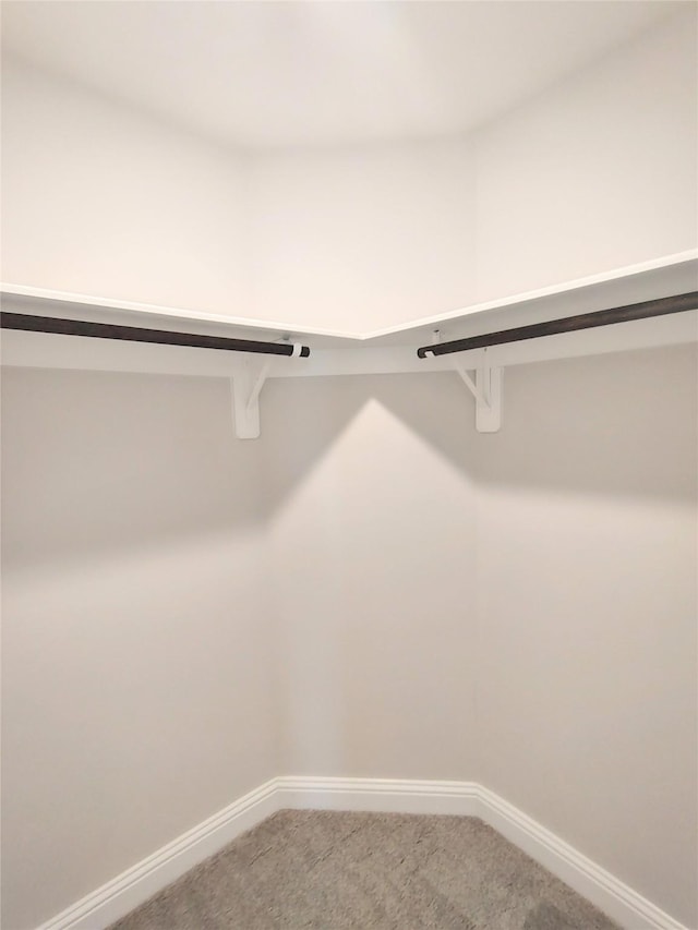 18 Gemstone Ct, Angleton, TX 77515 - walk in closet featuring carpet flooring